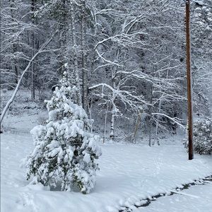 Meet your Posher, Janie